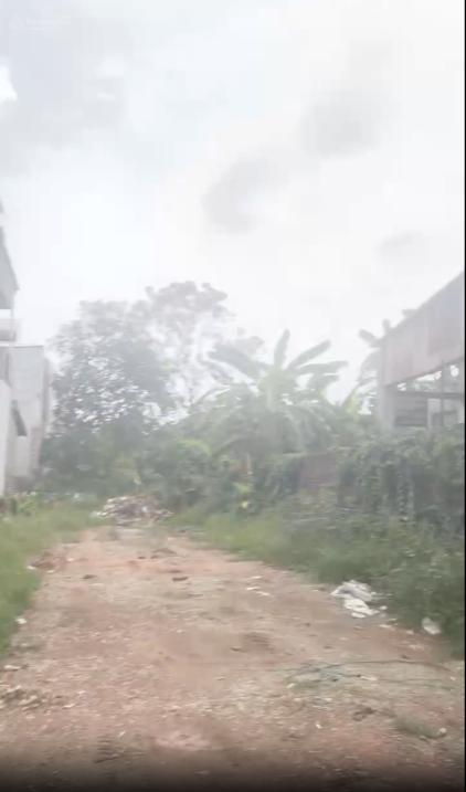 4320476 ảnh đại diện 1