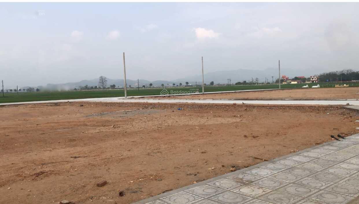 4320038 ảnh đại diện 1