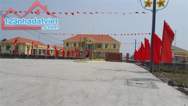 4319302 ảnh đại diện 2