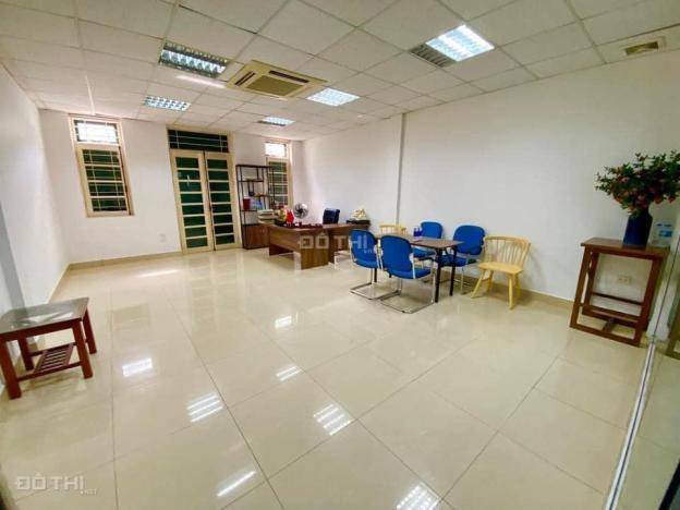 4319245 ảnh đại diện 1