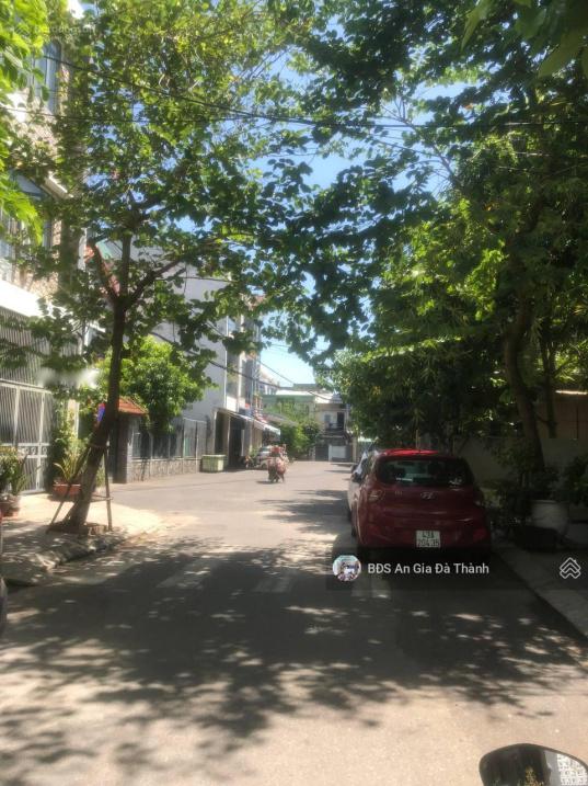 4320915 ảnh đại diện 1