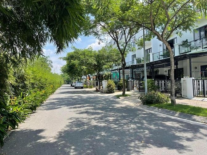 4319209 ảnh đại diện 1