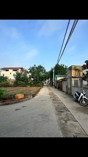 4319461 ảnh đại diện 2