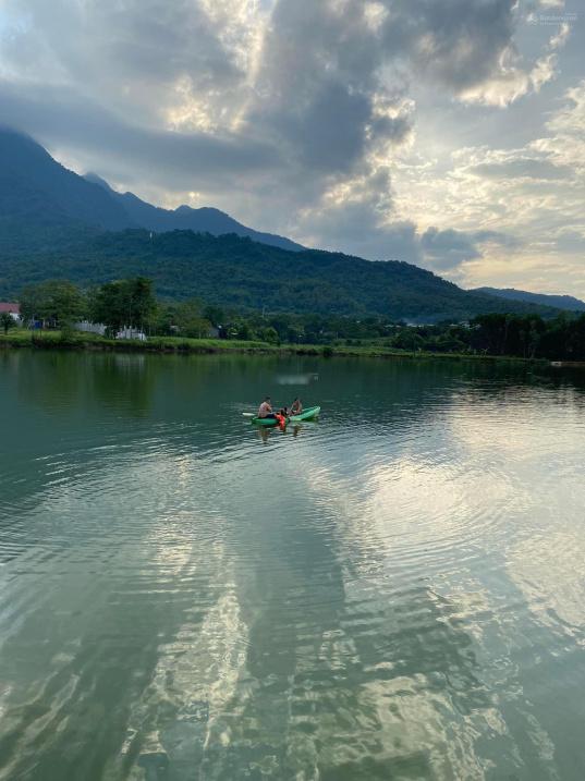 4320471 ảnh đại diện 1