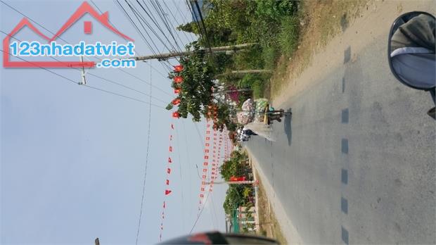 4319302 ảnh đại diện 1