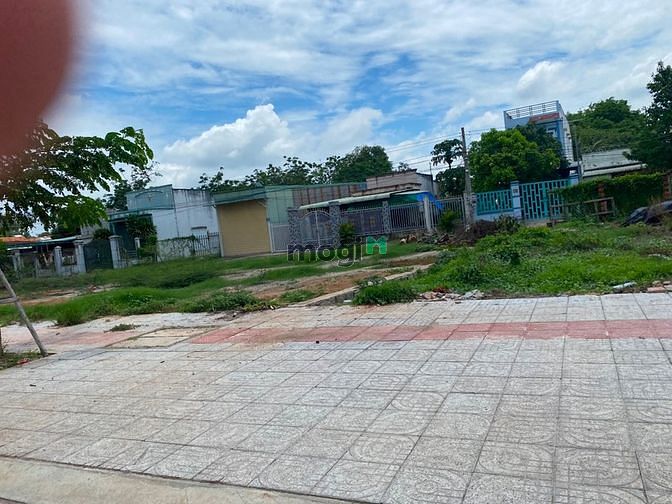 4319986 ảnh đại diện 2
