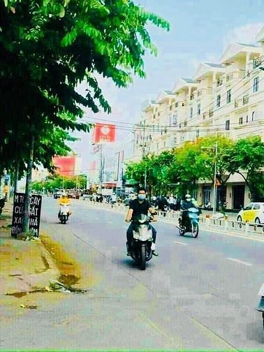 4319987 ảnh đại diện 2