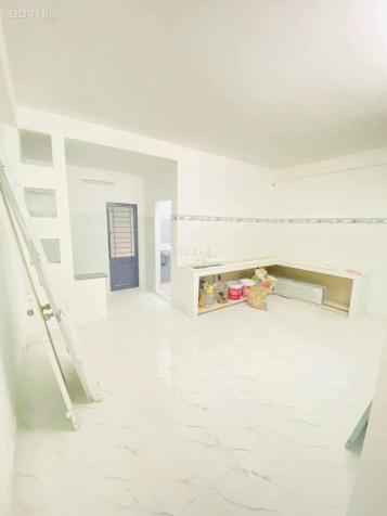 4319371 ảnh đại diện 2
