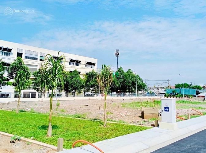 4320424 ảnh đại diện 1