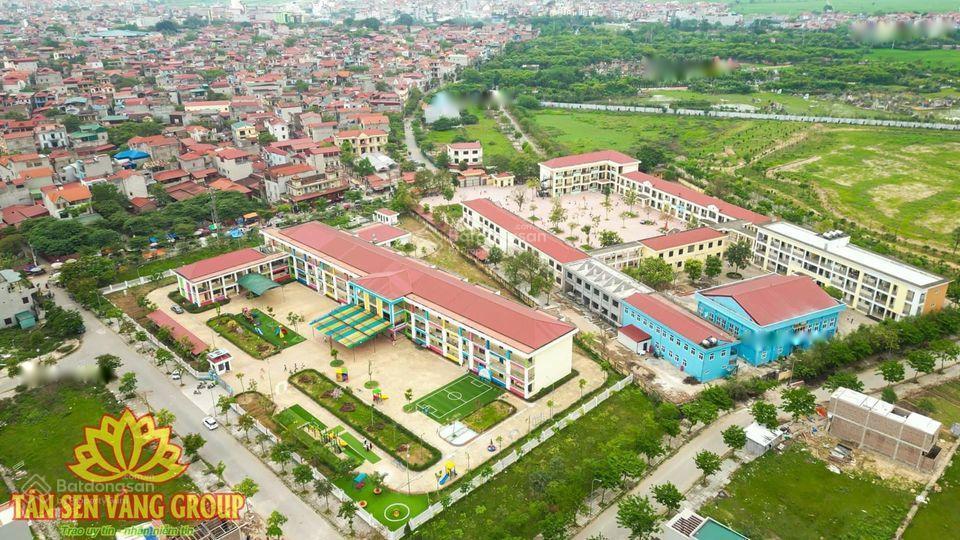 4319826 ảnh đại diện 2