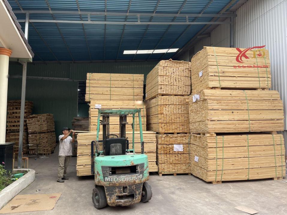 4320890 ảnh đại diện 1