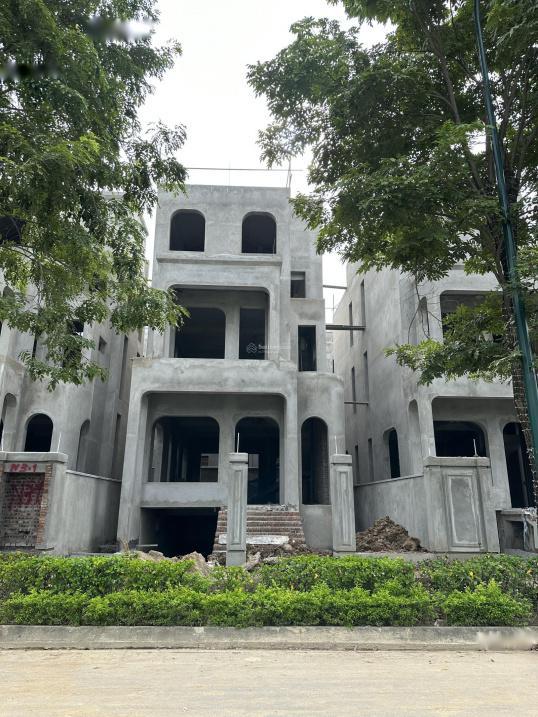 4320752 ảnh đại diện 1