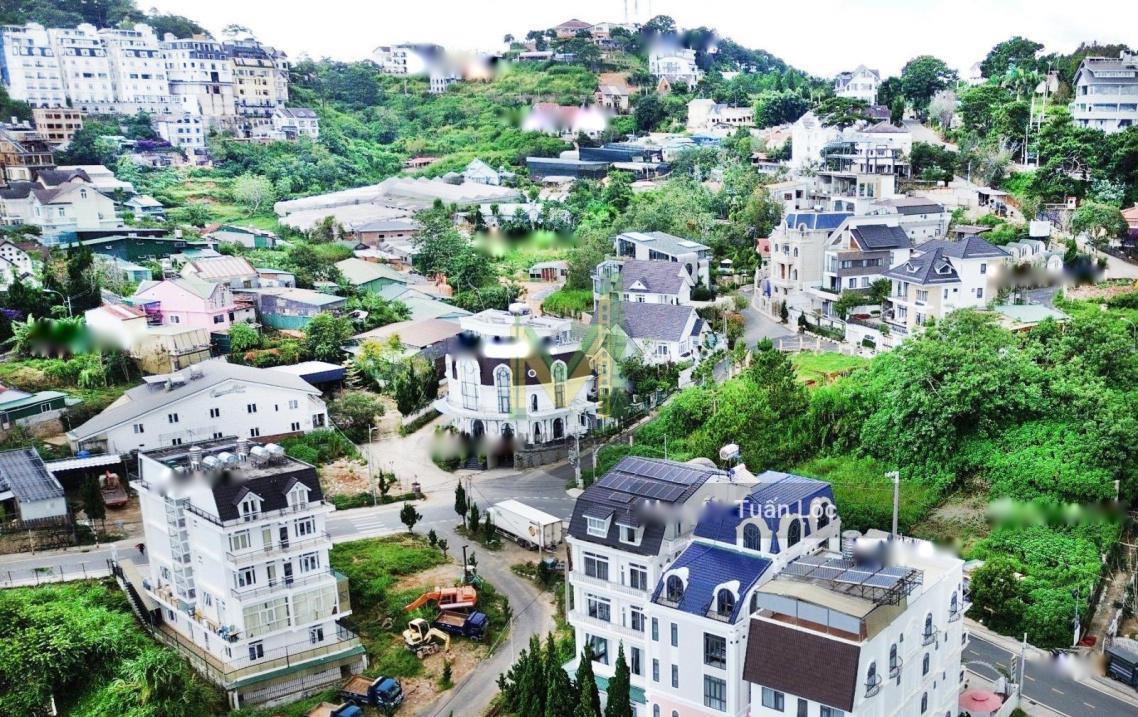 4320289 ảnh đại diện 2