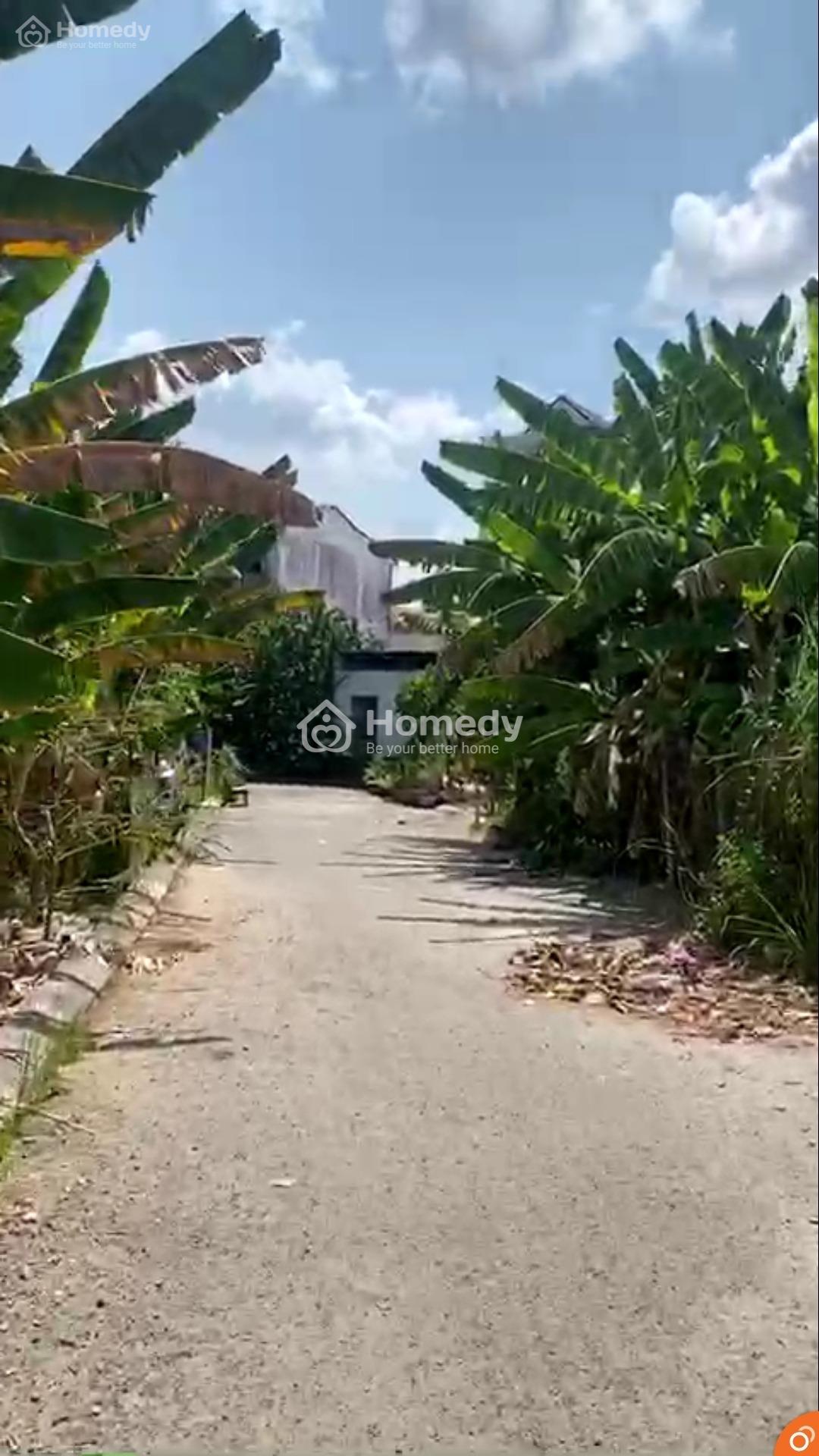 4319332 ảnh đại diện 2