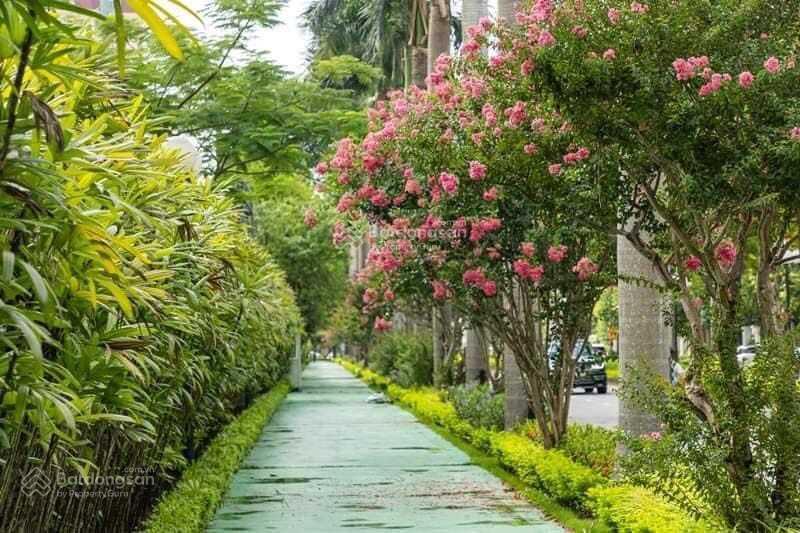 4320724 ảnh đại diện 1