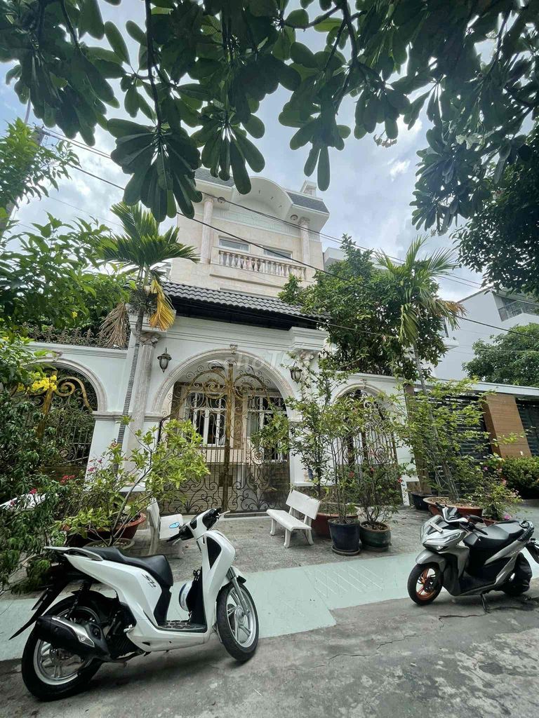 4320379 ảnh đại diện 1