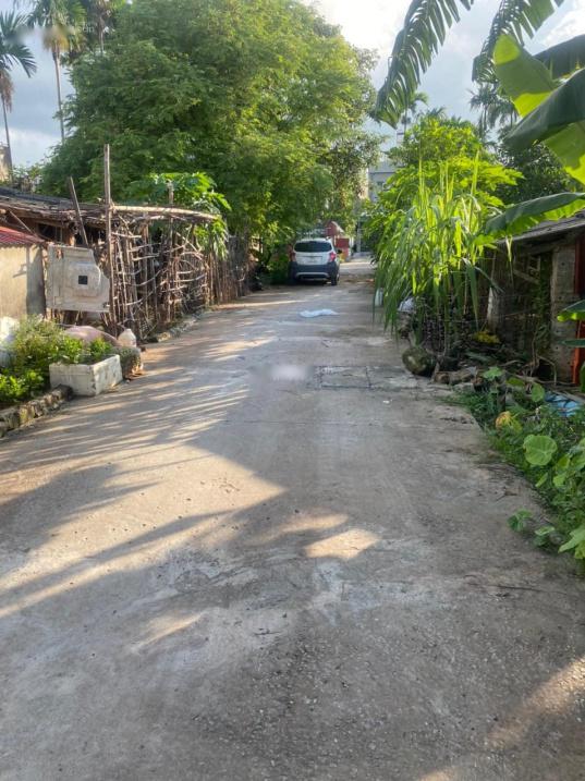 4320843 ảnh đại diện 1