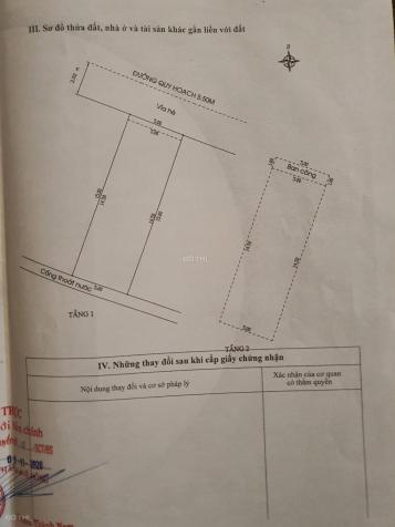 4319427 ảnh đại diện 2