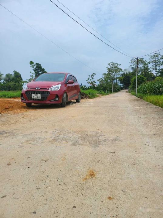 4320047 ảnh đại diện 1