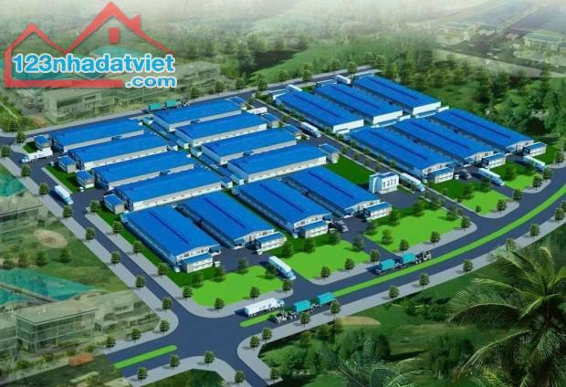 4319225 ảnh đại diện 1