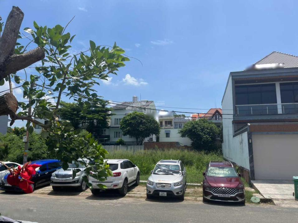 4320774 ảnh đại diện 2