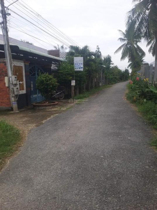 4320859 ảnh đại diện 1