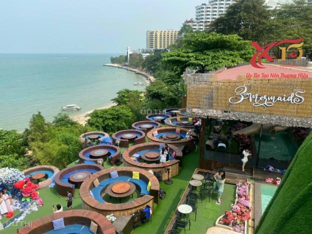 4319174 ảnh đại diện 2
