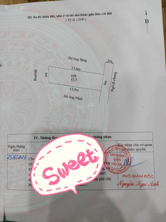 4320841 ảnh đại diện 2