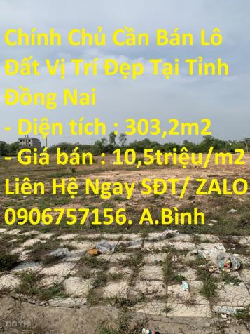 4320869 ảnh đại diện 1