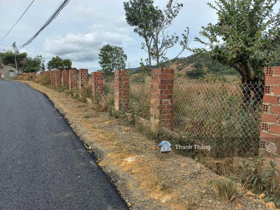 4322639 ảnh đại diện 2