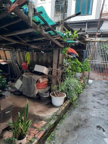 4321464 ảnh đại diện 1
