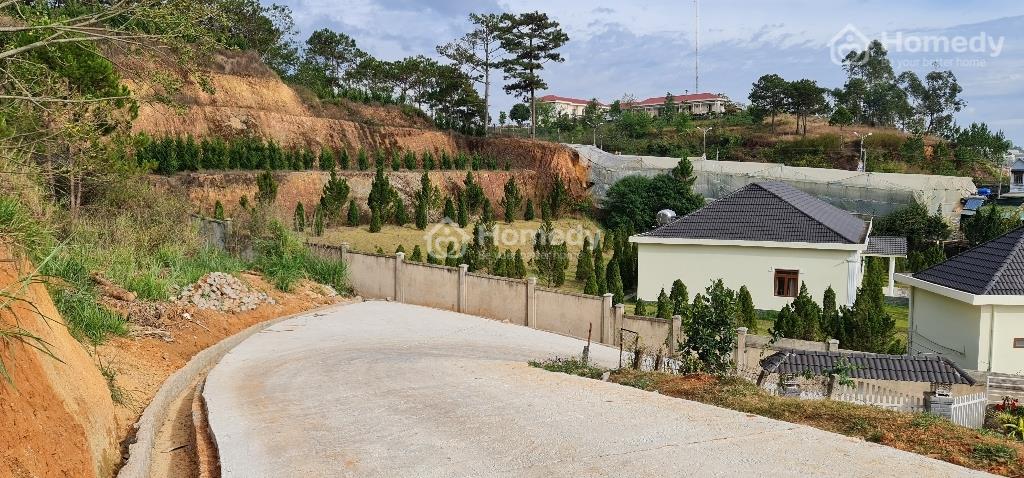 4322617 ảnh đại diện 2