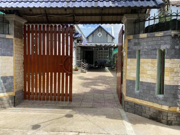 4321493 ảnh đại diện 1