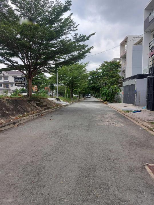 4321569 ảnh đại diện 2
