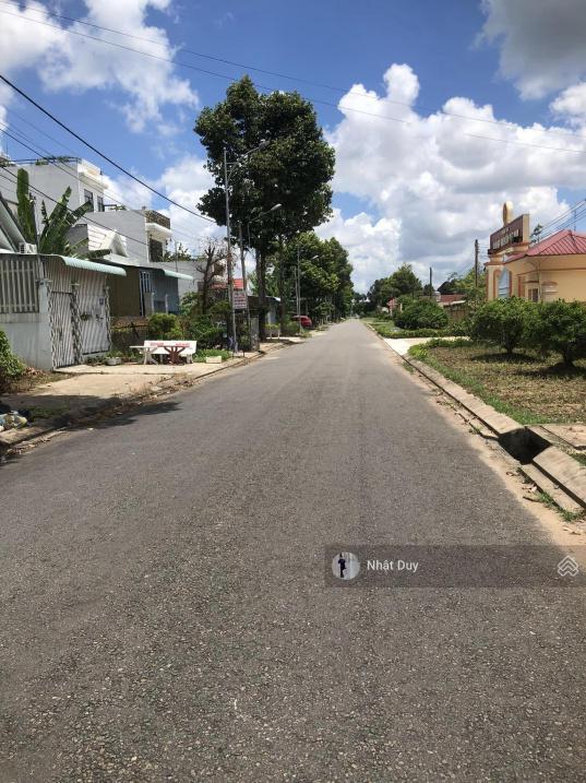 4321751 ảnh đại diện 1