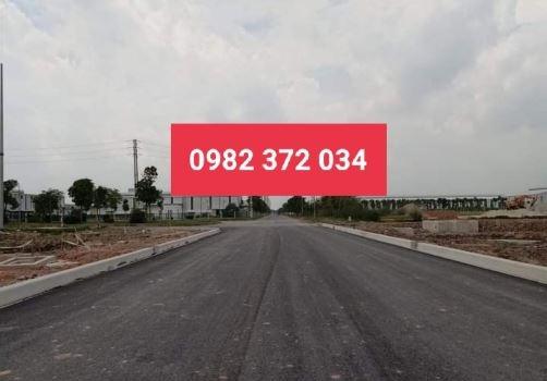 4321831 ảnh đại diện 1