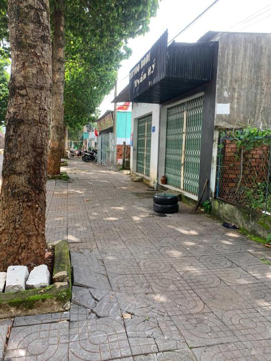 4320973 ảnh đại diện 2
