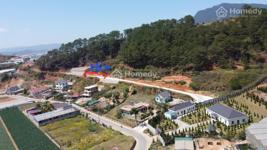 4322617 ảnh đại diện 1