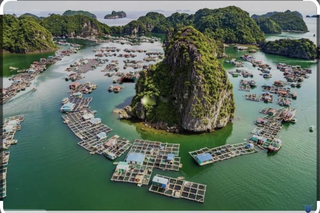 4322315 ảnh đại diện 1