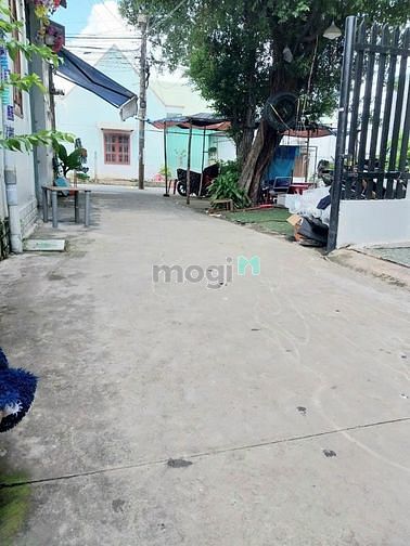 4321741 ảnh đại diện 2