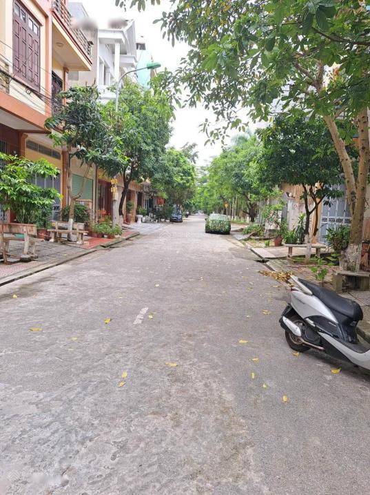 4322655 ảnh đại diện 1