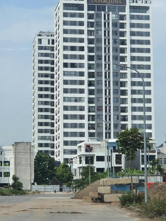4322653 ảnh đại diện 1