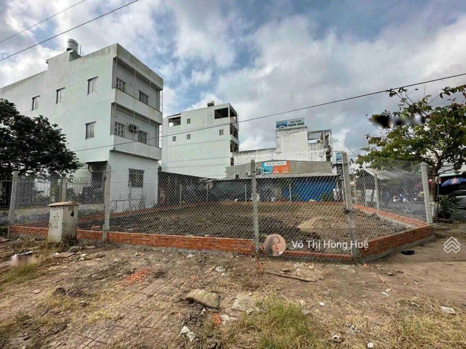 4321491 ảnh đại diện 1