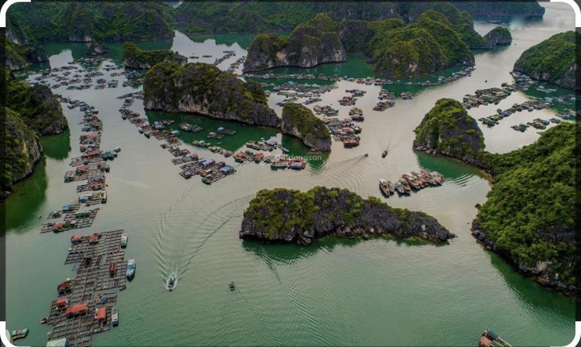 4322315 ảnh đại diện 1