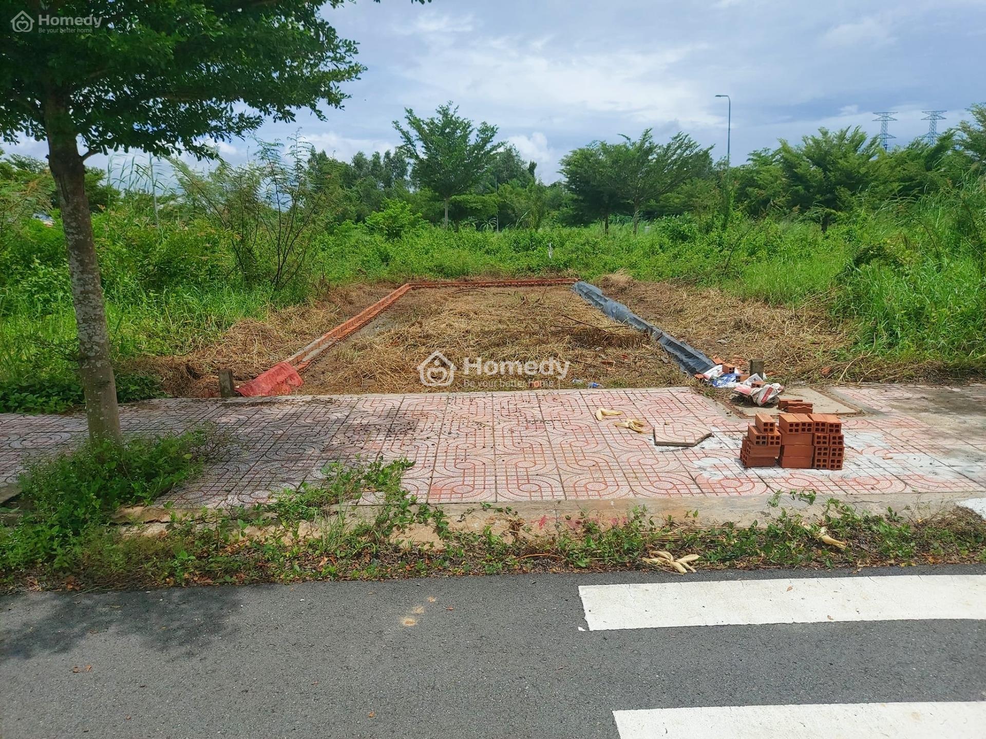 4321715 ảnh đại diện 1