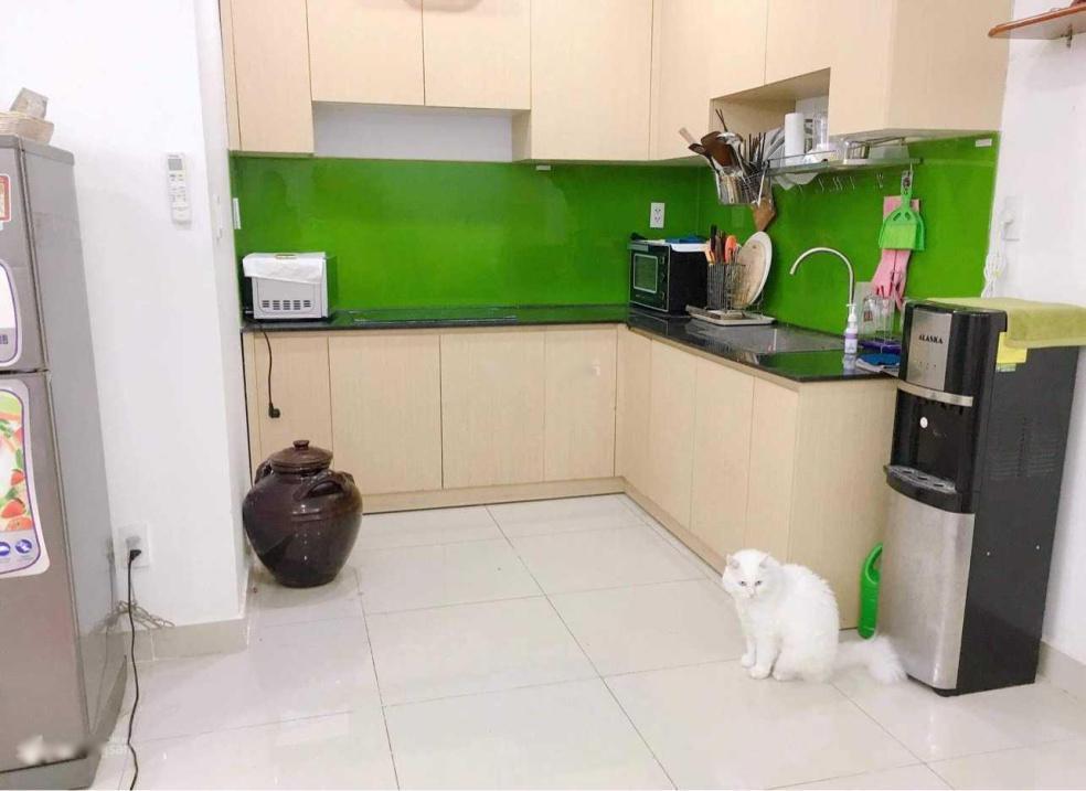 4322528 ảnh đại diện 1