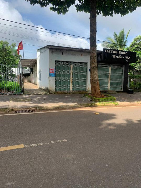 4320973 ảnh đại diện 1