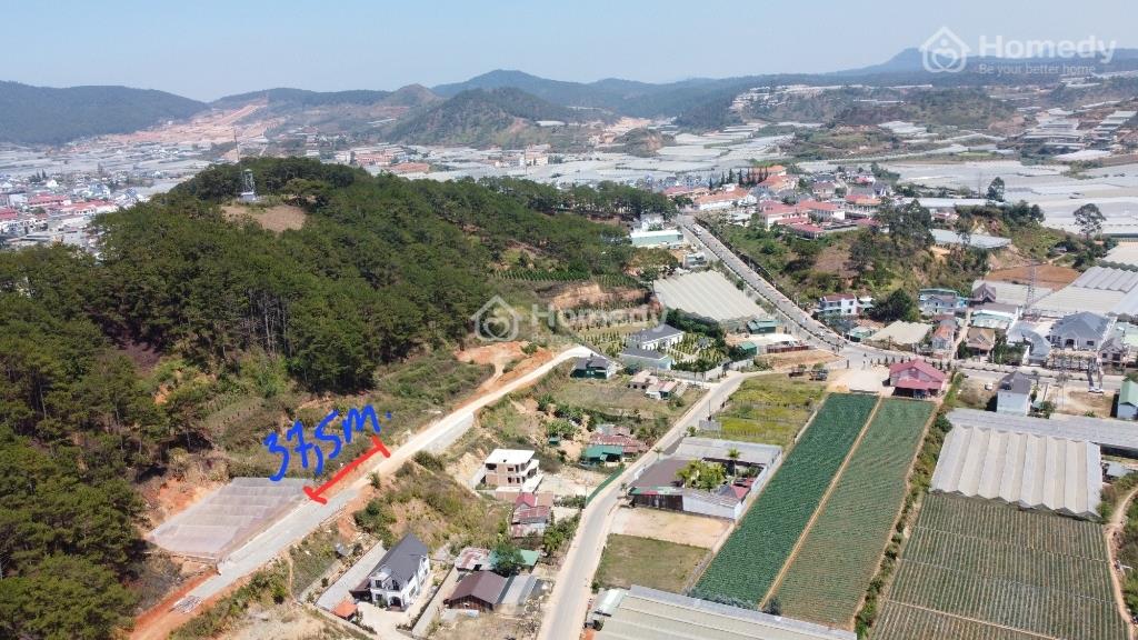 4322617 ảnh đại diện 1
