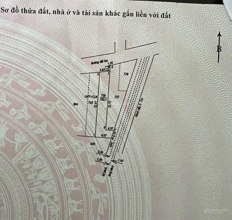 4321217 ảnh đại diện 1