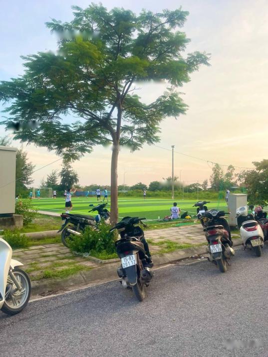 4322361 ảnh đại diện 2
